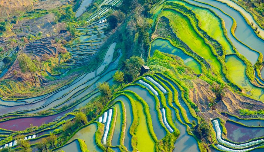 宝妈必备神器：定安县产品视频拍摄轻松育儿好帮手