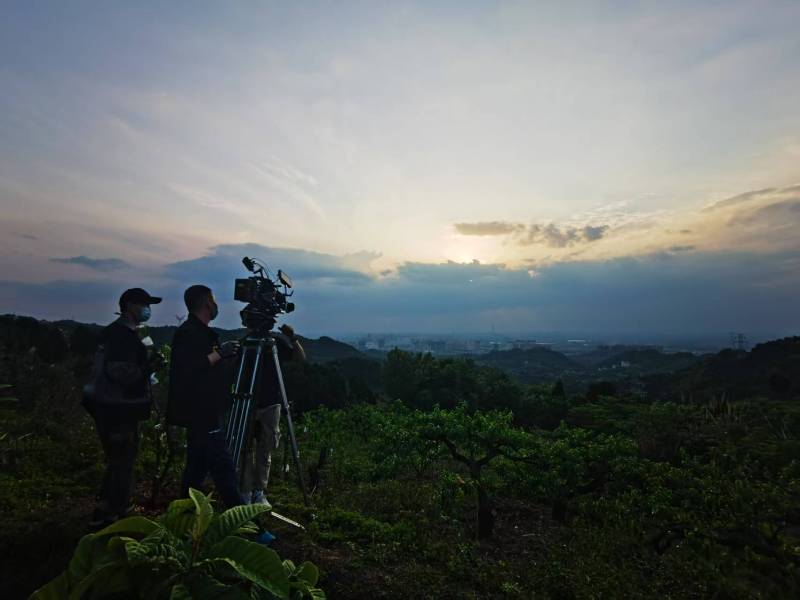 上市公司路演视频制作标准：顶级视频拍摄公司的服务规范